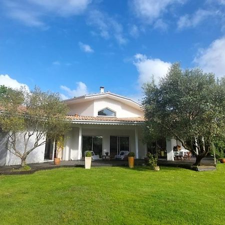Agreable Maison Sur Le Bassin D'Arcachon Андерно-ле-Бэн Экстерьер фото