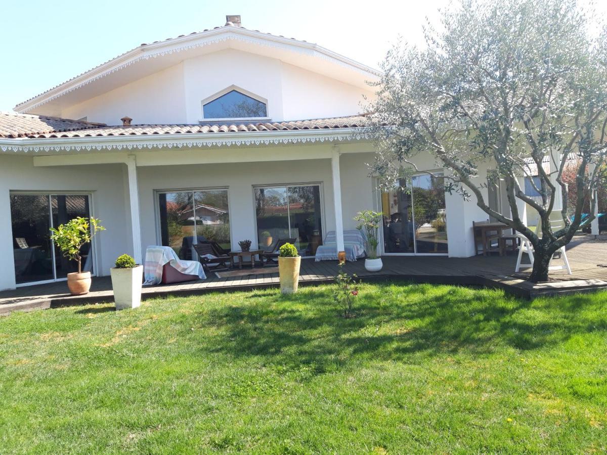 Agreable Maison Sur Le Bassin D'Arcachon Андерно-ле-Бэн Экстерьер фото