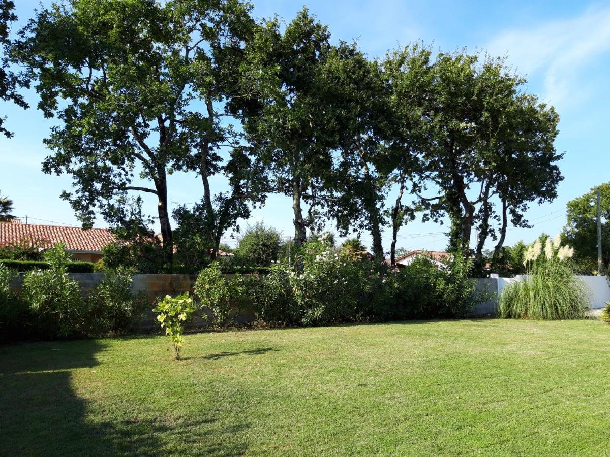 Agreable Maison Sur Le Bassin D'Arcachon Андерно-ле-Бэн Экстерьер фото