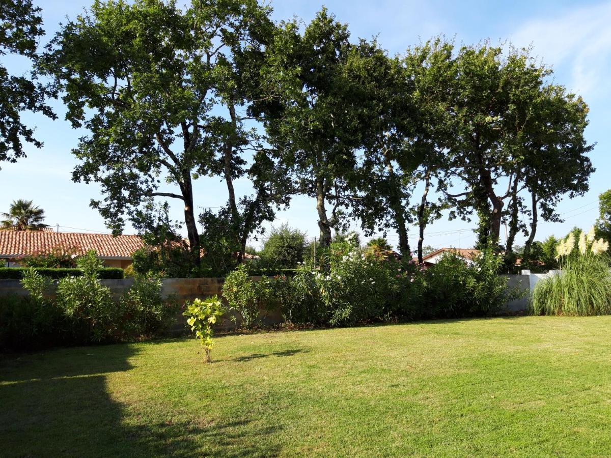Agreable Maison Sur Le Bassin D'Arcachon Андерно-ле-Бэн Экстерьер фото