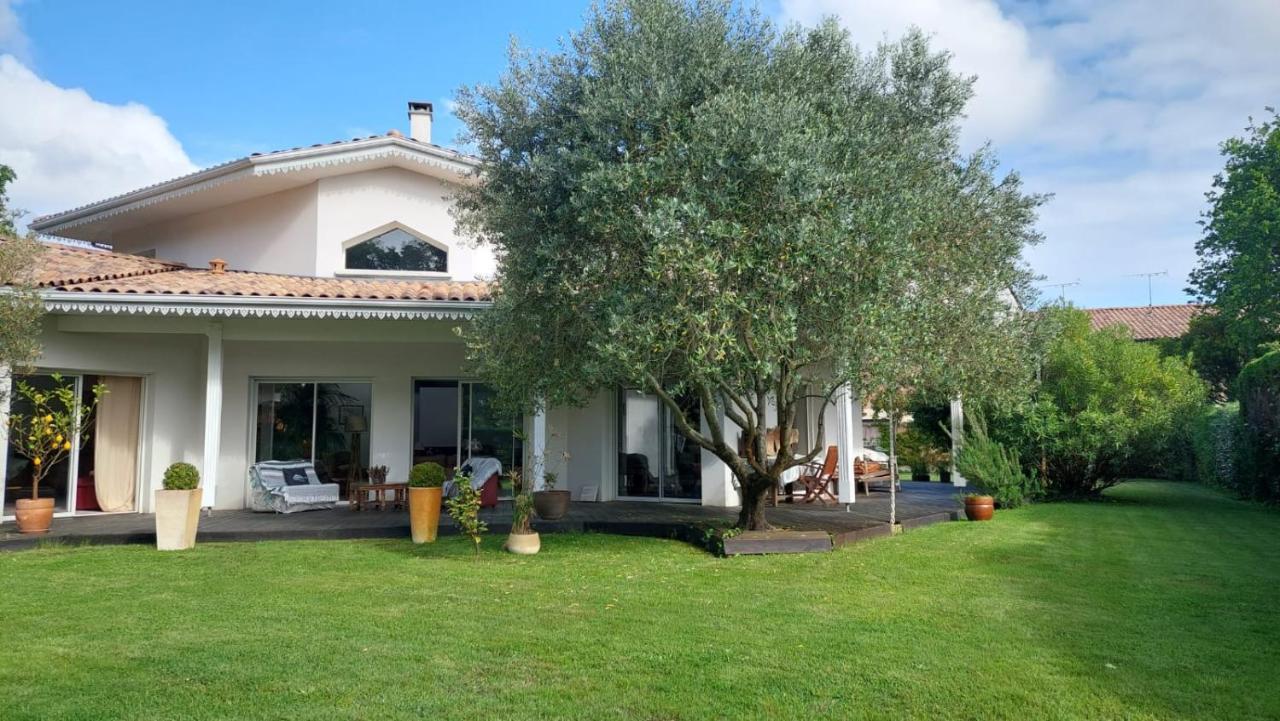 Agreable Maison Sur Le Bassin D'Arcachon Андерно-ле-Бэн Экстерьер фото